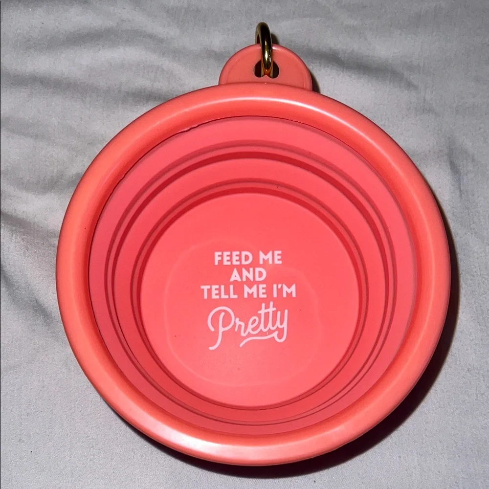 Collapsible Pink Pet Bowl
